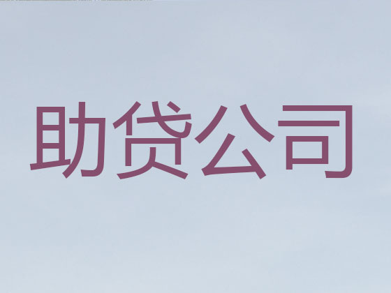 桐乡抵押贷款-银行信用贷款